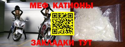 стафф Кингисепп