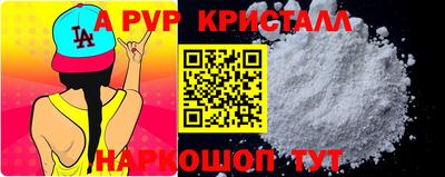 стафф Кингисепп