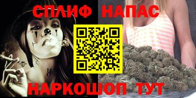 стафф Кингисепп