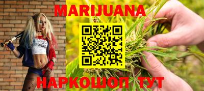 стафф Кингисепп