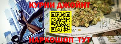 стафф Кингисепп