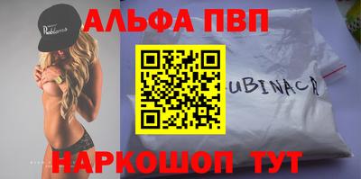 стафф Кингисепп