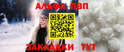 стафф Кингисепп