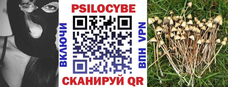 Галлюциногенные грибы Psilocybine cubensis  Лесозаводск 