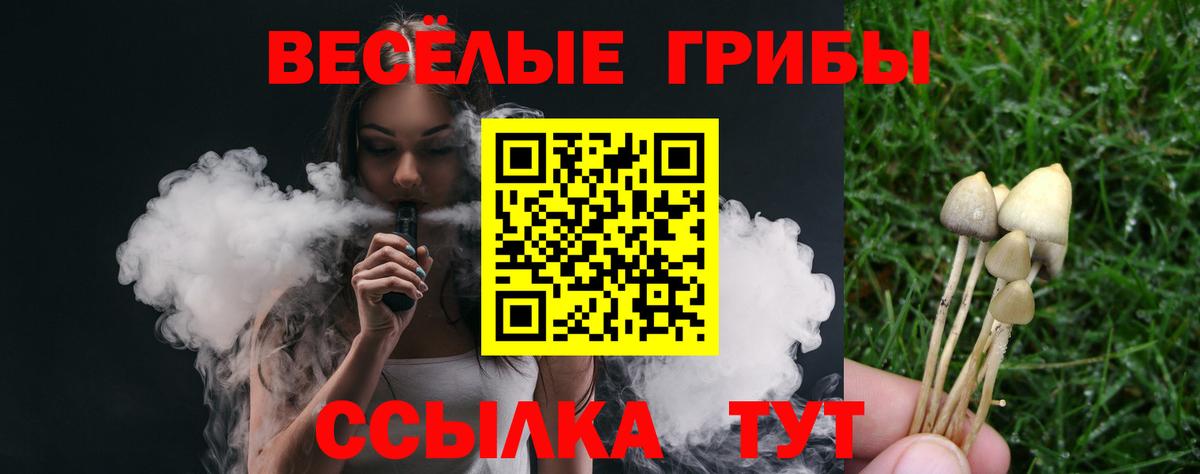 Галлюциногенные грибы ЛСД  Вход с VPN  Лесозаводск 